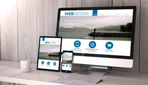 best web site designer buderim | sunshine coast | QLD